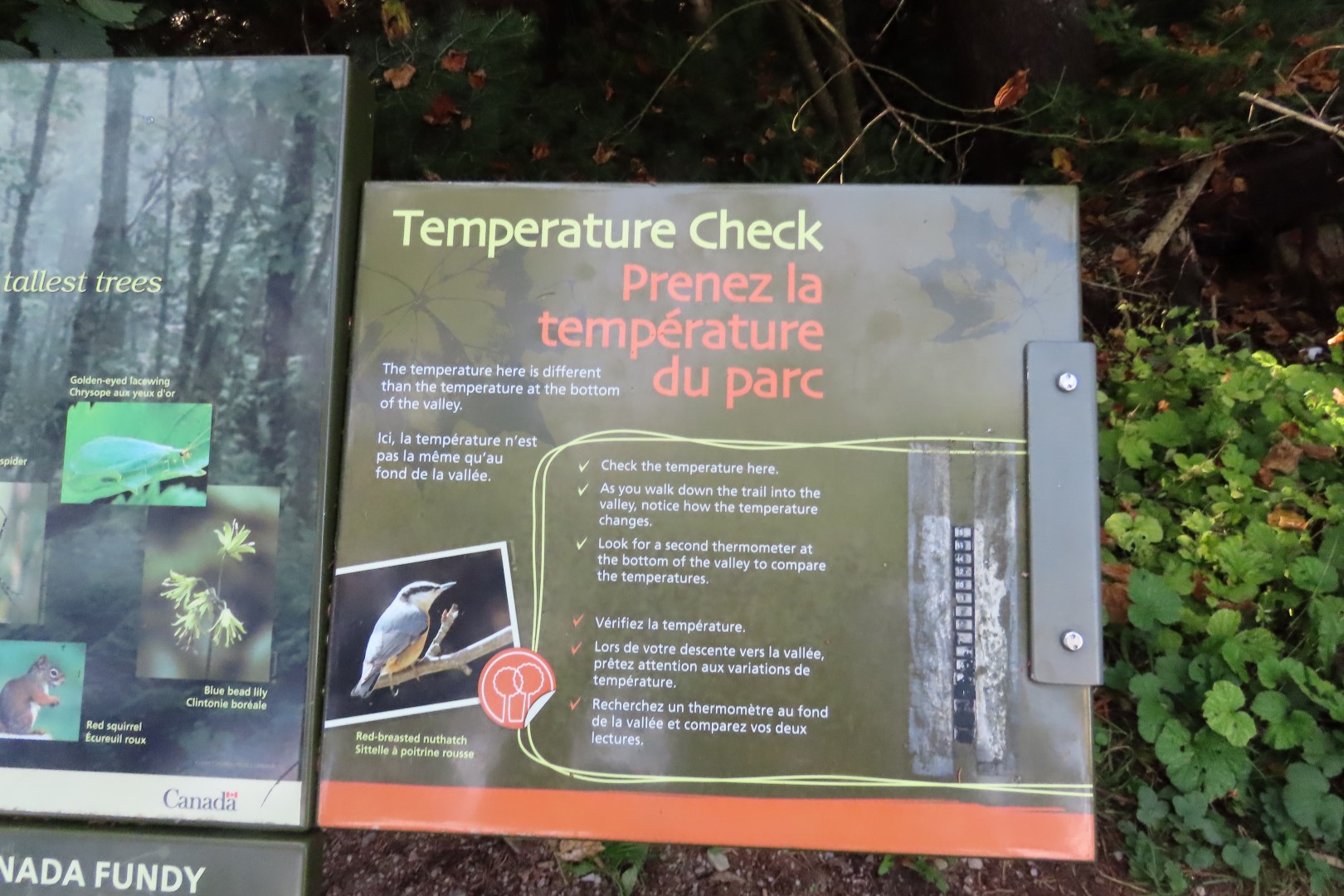 Dickson Falls in Fundy NP 12 of 24 (#9260)