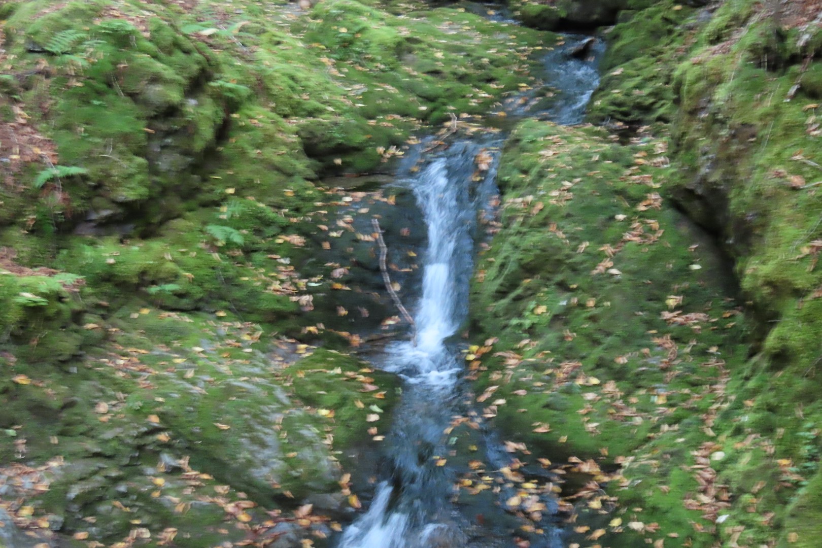 Dickson Falls in Fundy NP 19 of 24 (#9265)