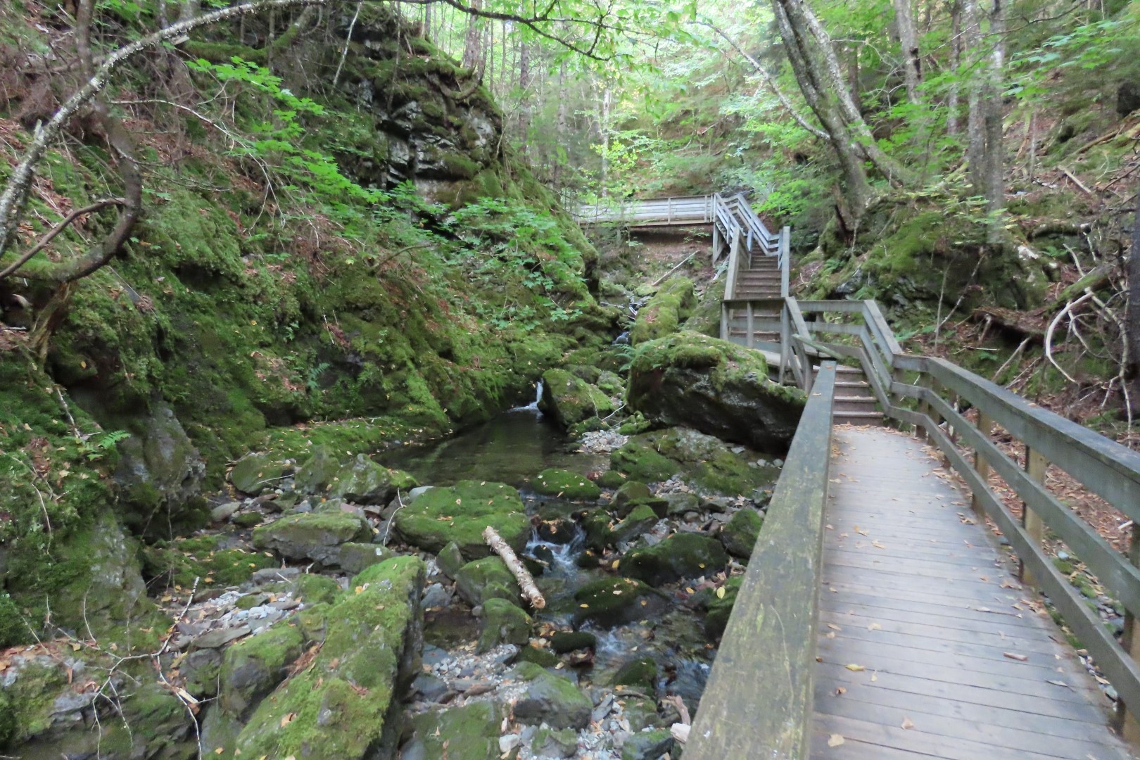 Dickson Falls in Fundy NP 20 of 24 (#9266)