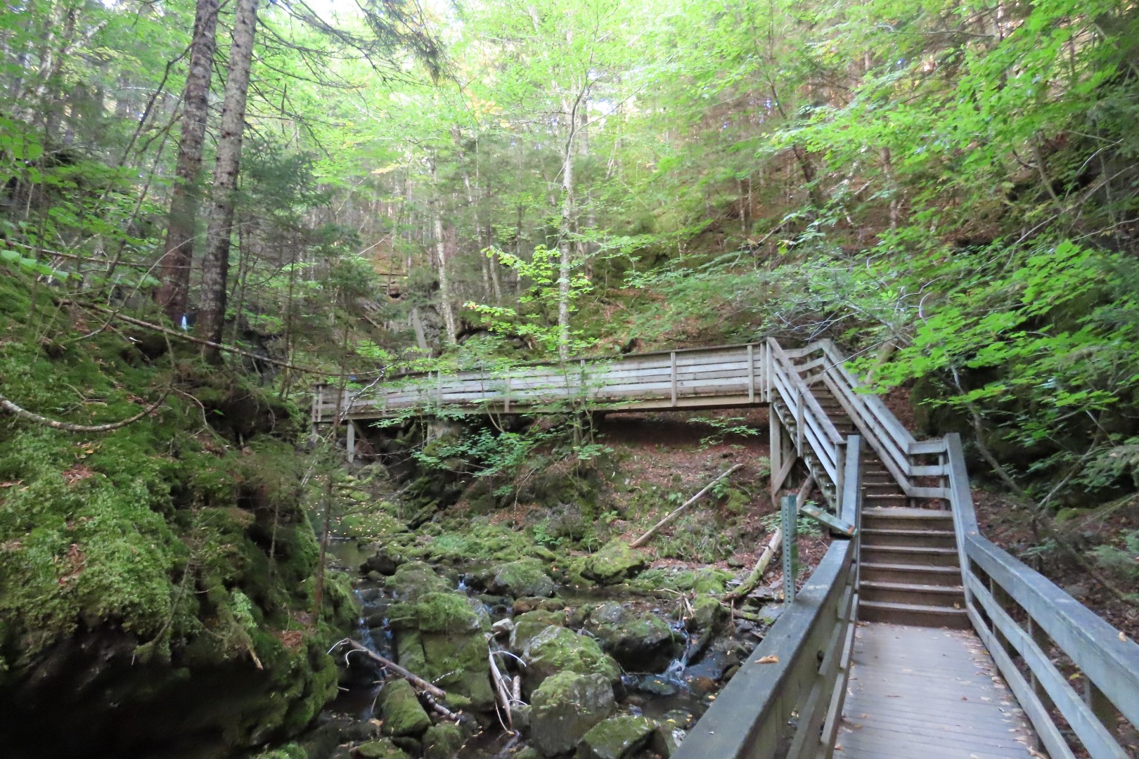 Dickson Falls in Fundy NP 21 of 24 (#9268)