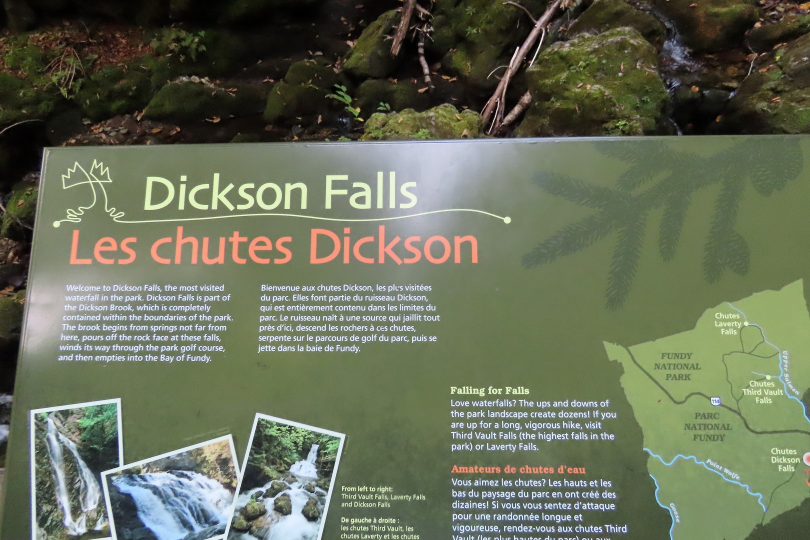 Dickson Falls in Fundy NP 17 of 24 (#9269)
