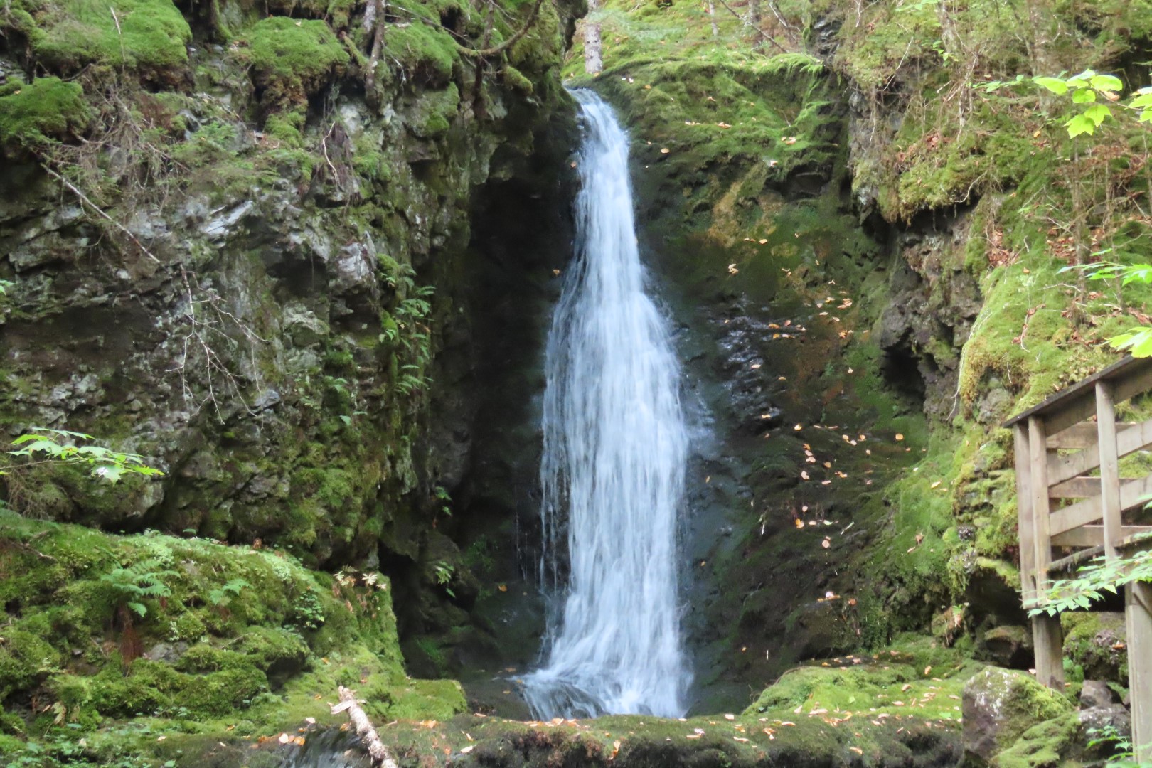 Dickson Falls in Fundy NP 22 of 24 (#9270)