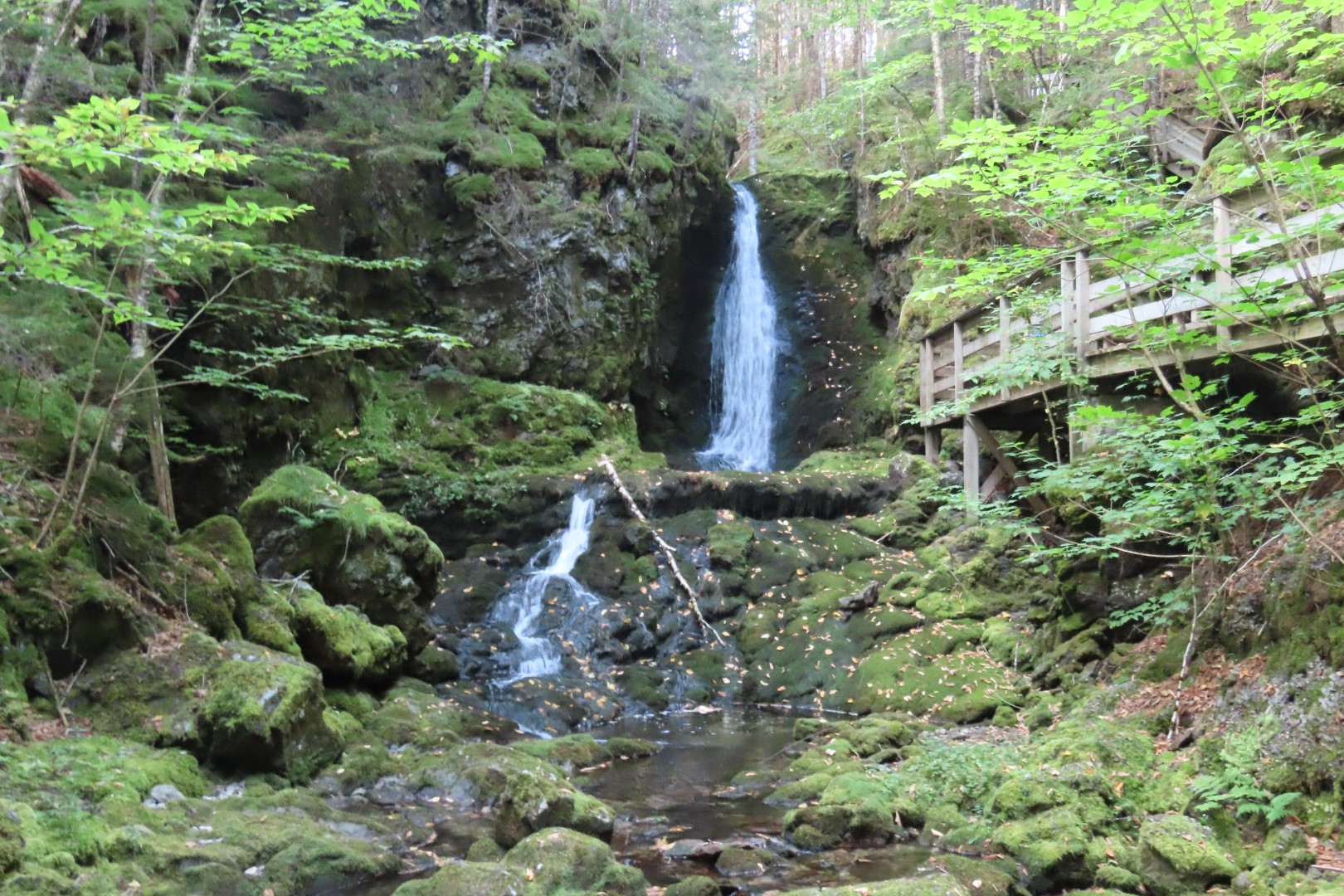 Dickson Falls in Fundy NP 23 of 24 (#9271)