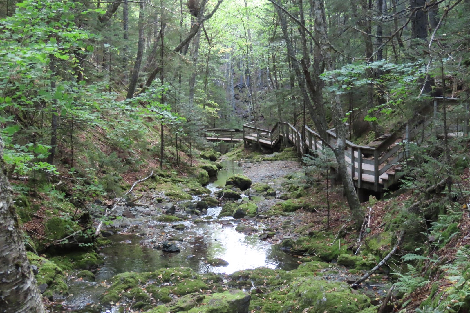 Dickson Falls in Fundy NP 24 of 24 (#9273)