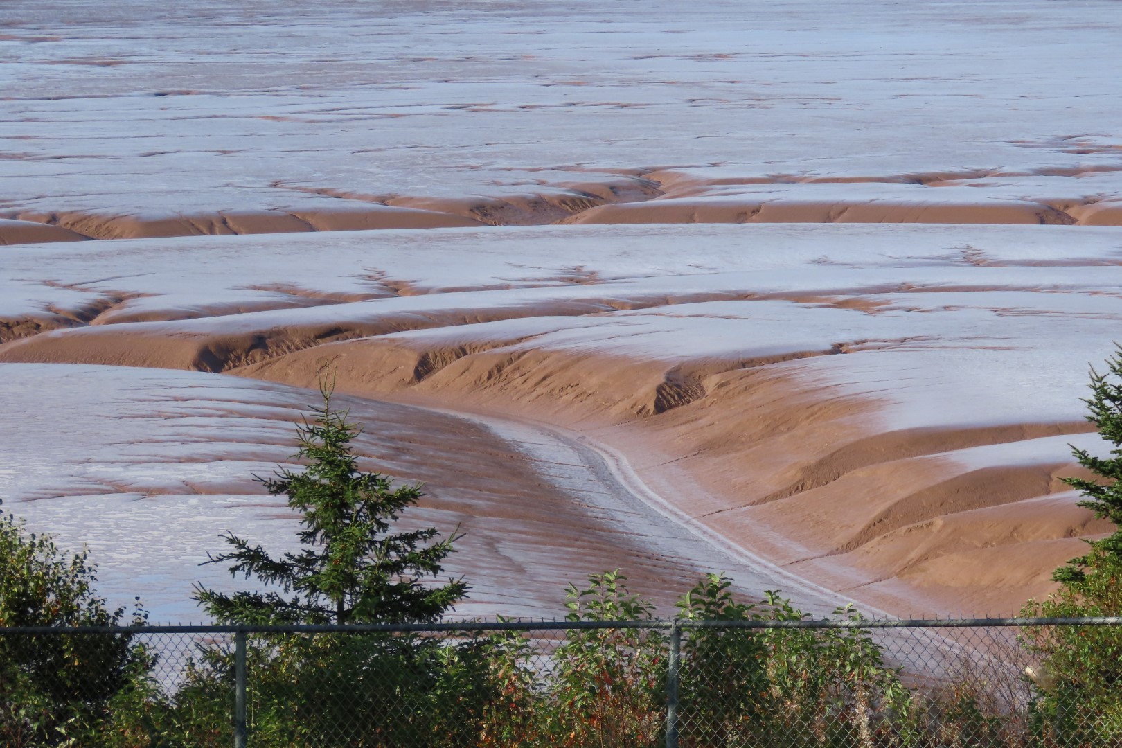 Hopewell Rocks in New Brunswick  6 of 12 (#9277)