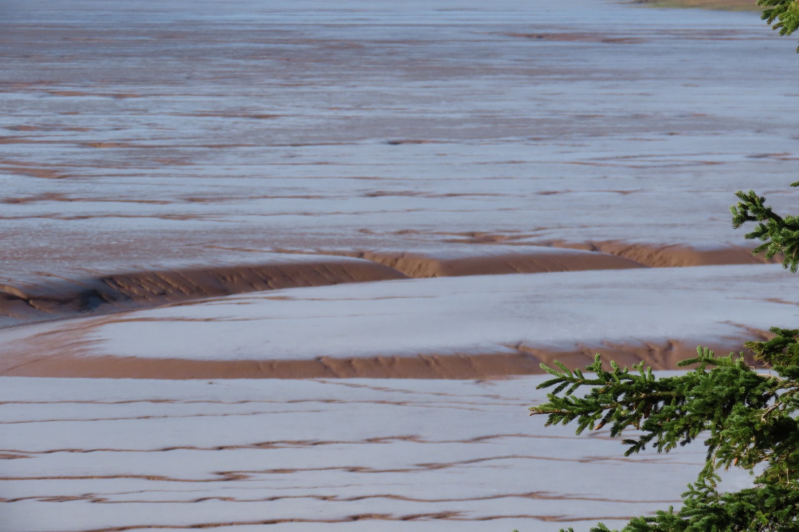 Hopewell Rocks in New Brunswick 11 of 12 (#9283)