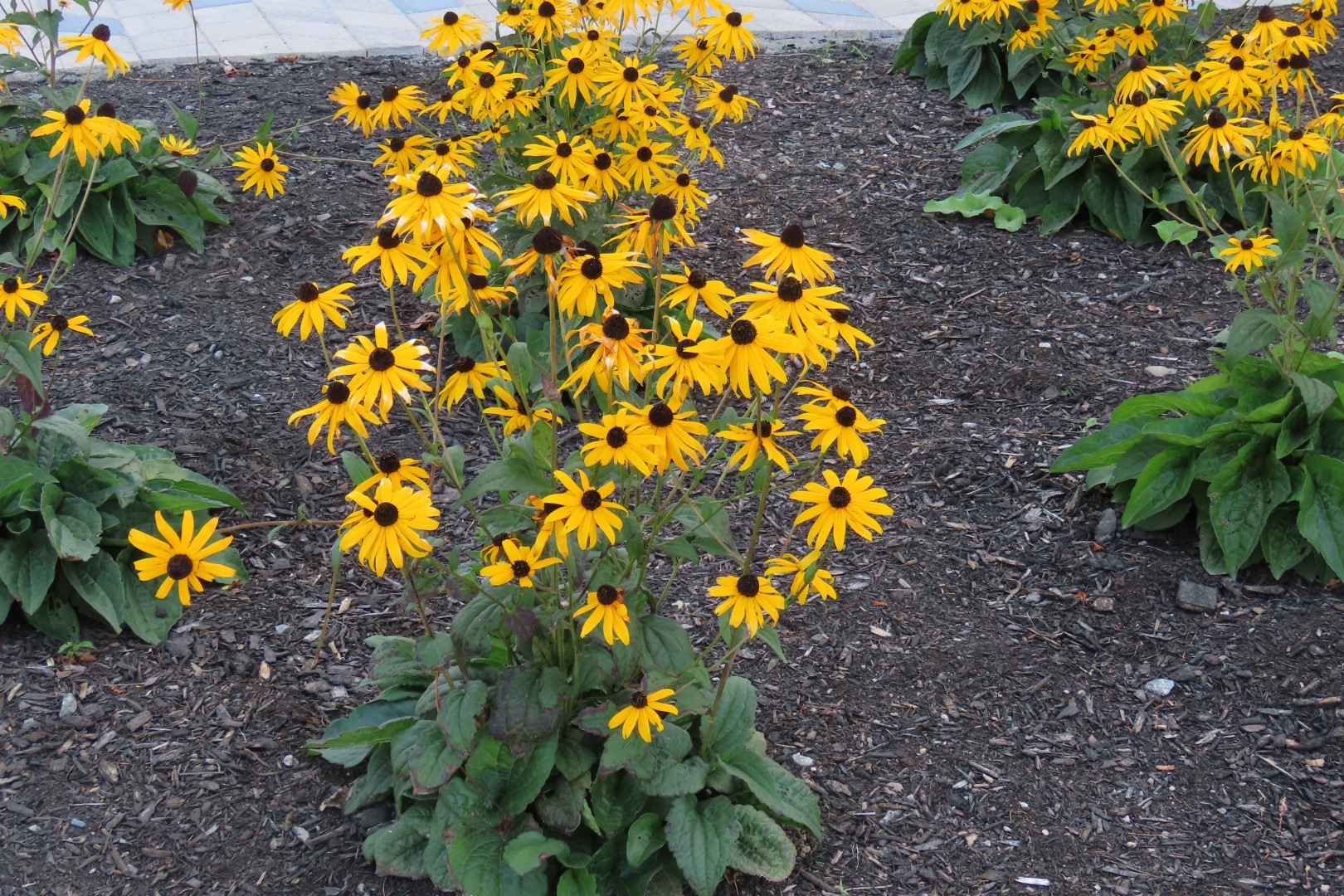 Hopewell Rocks in New Brunswick 12 of 12 (#9285)