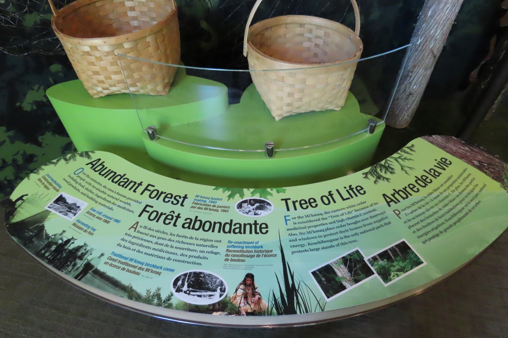 Visitor Center in Kouchibougauc NP 11 of 26 (#9418)