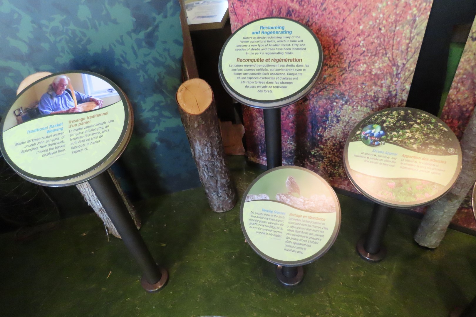 Visitor Center in Kouchibougauc NP 12 of 26 (#9419)