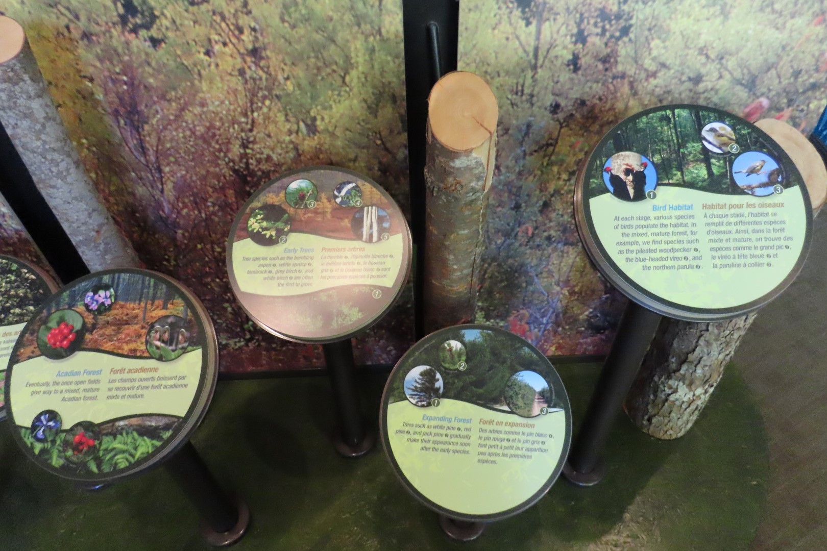 Visitor Center in Kouchibougauc NP 13 of 26 (#9420)