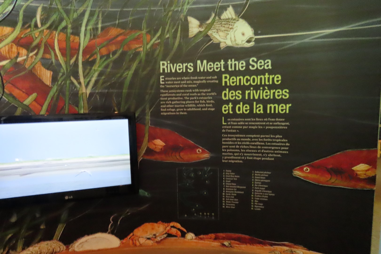 Visitor Center in Kouchibougauc NP 14 of 26 (#9421)