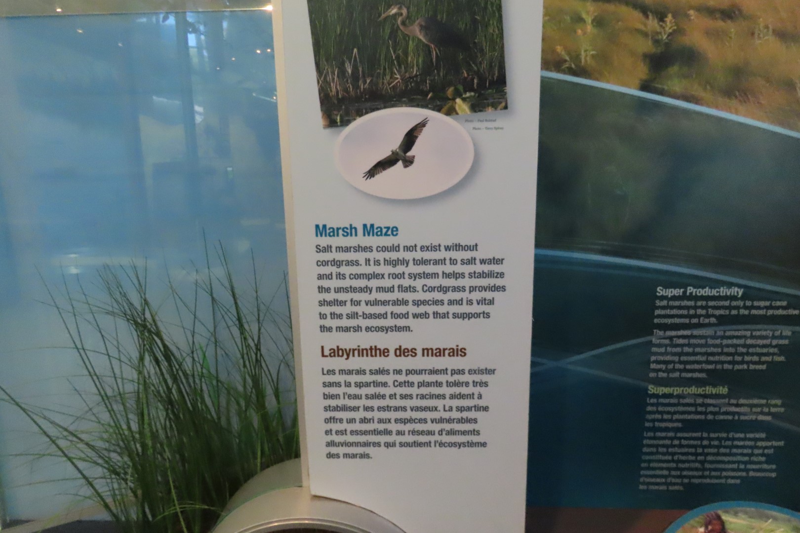 Visitor Center in Kouchibougauc NP 15 of 26 (#9422)