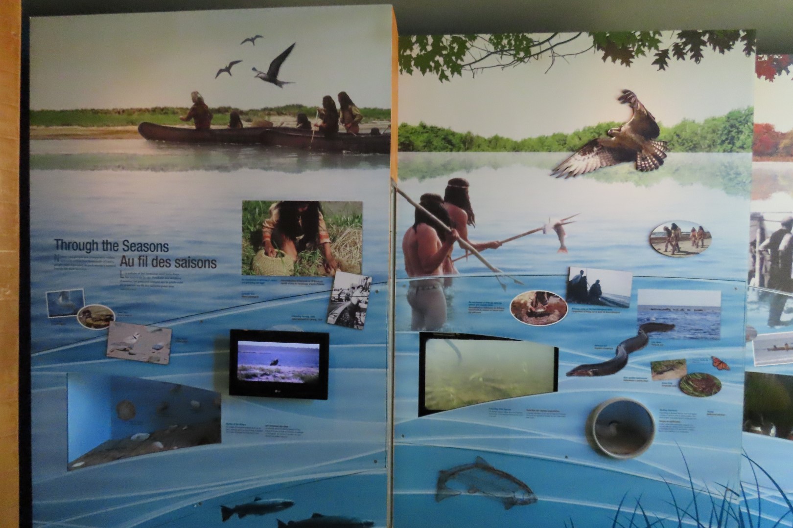 Visitor Center in Kouchibougauc NP 17 of 26 (#9424)