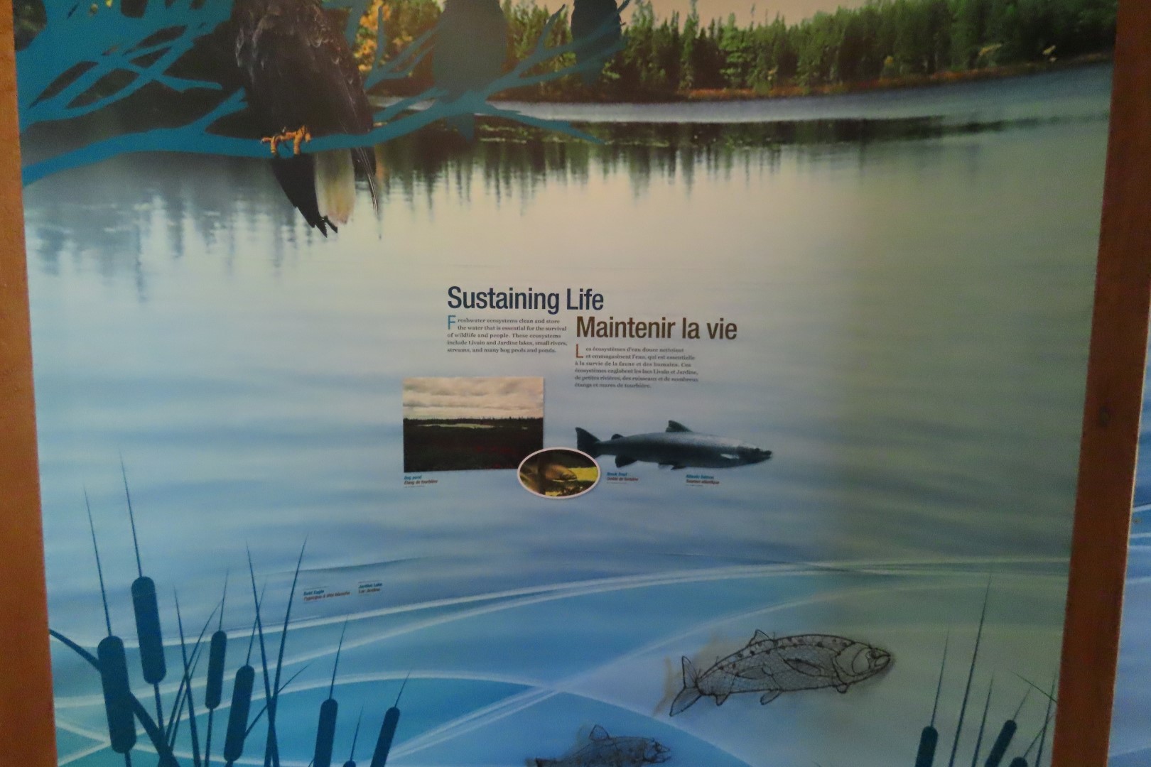 Visitor Center in Kouchibougauc NP 18 of 26 (#9425)