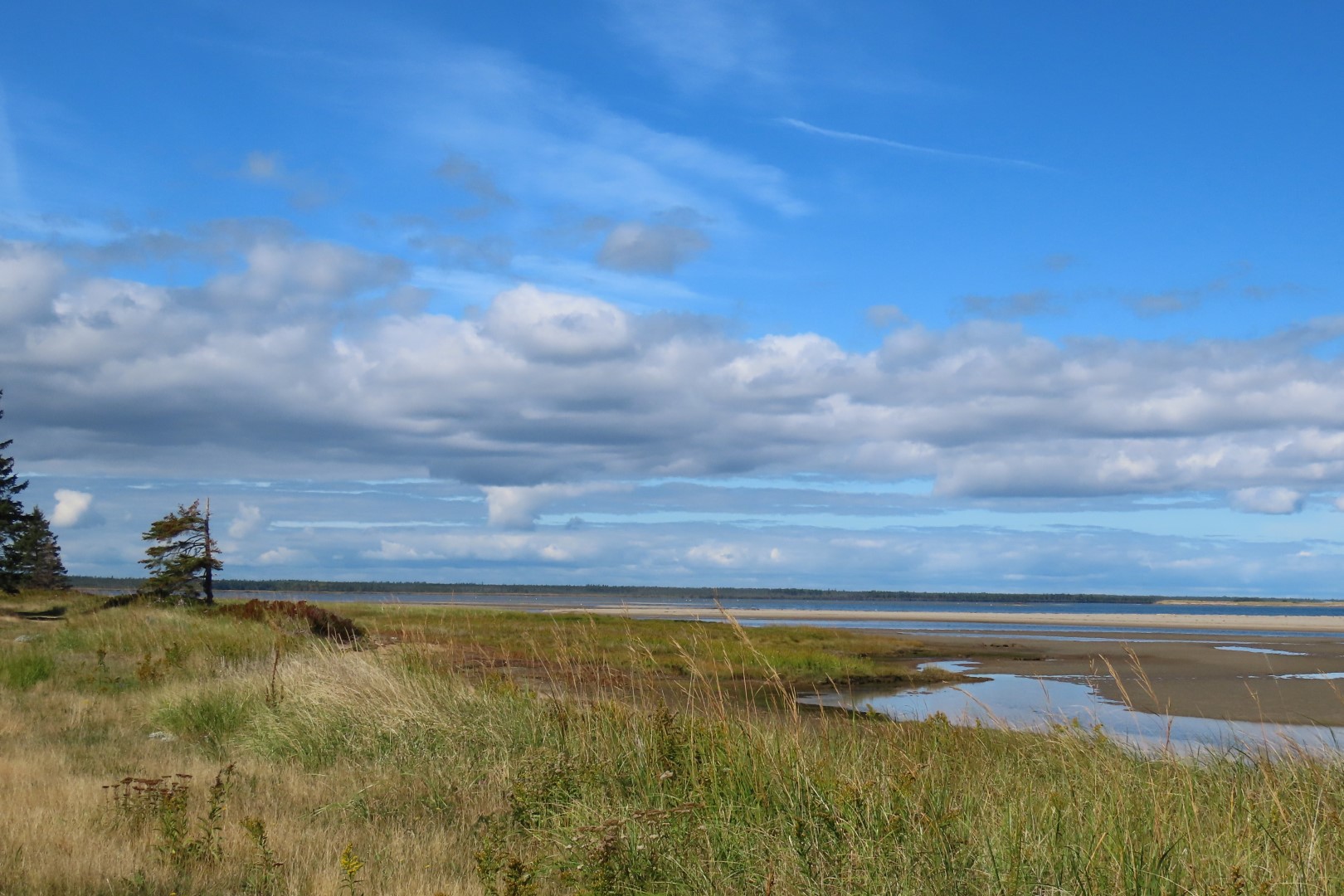 Kellys area in Kouchibougauc NP  3 of 15 (#9435)