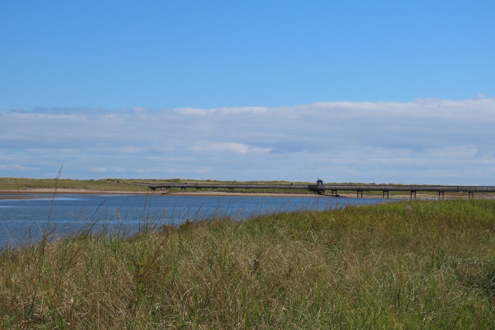 Kellys area in Kouchibougauc NP  4 of 15 (#9436)
