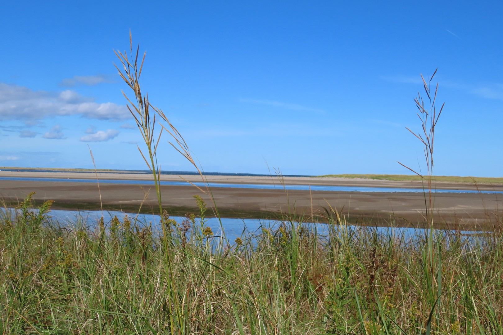 Kellys area in Kouchibougauc NP  6 of 15 (#9438)
