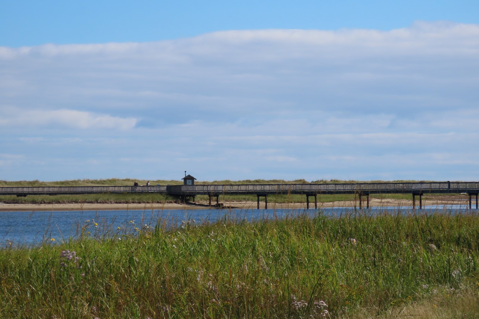 Kellys area in Kouchibougauc NP  7 of 15 (#9439)