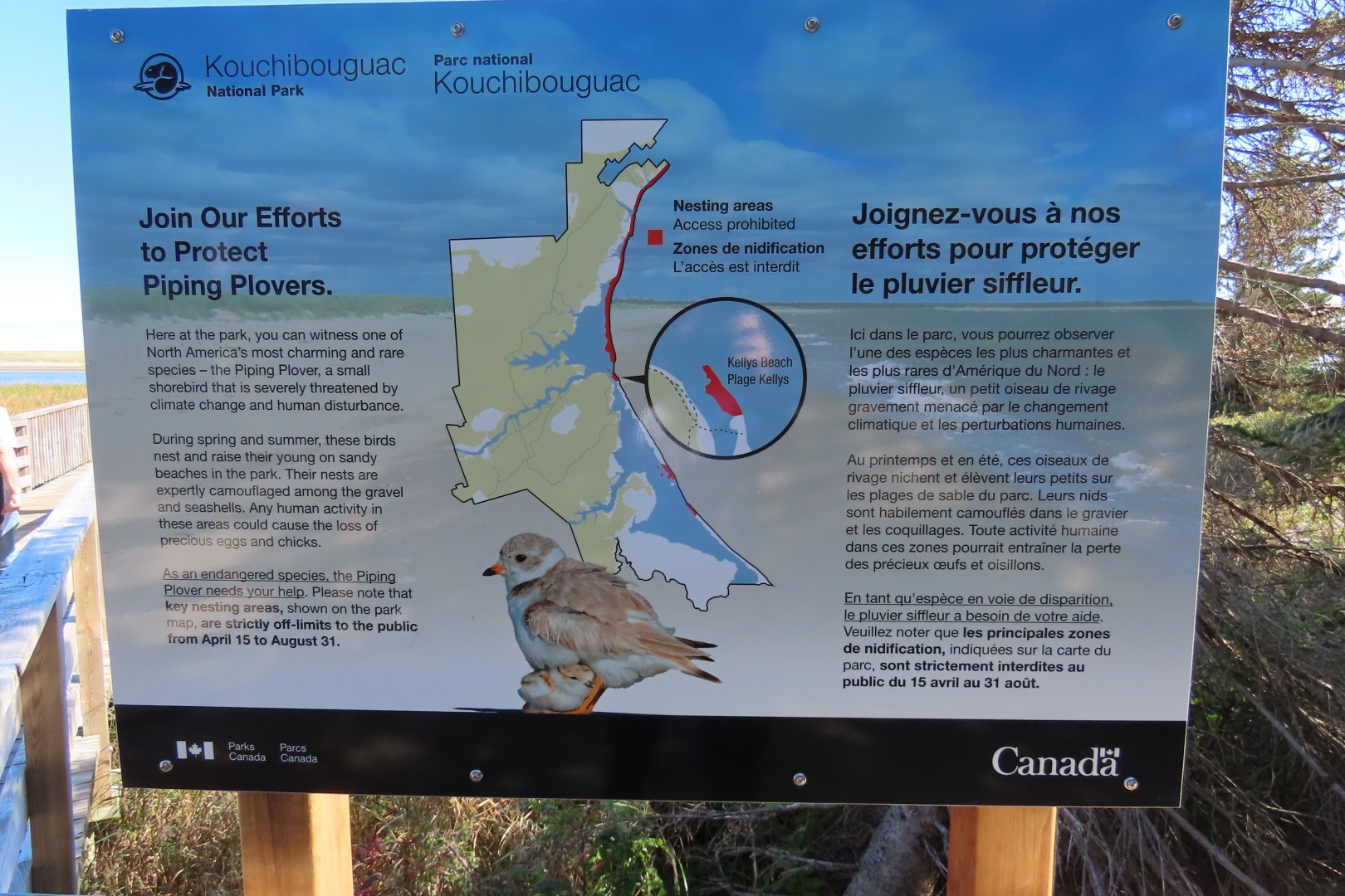 Kellys area in Kouchibougauc NP 11 of 15 (#9443)