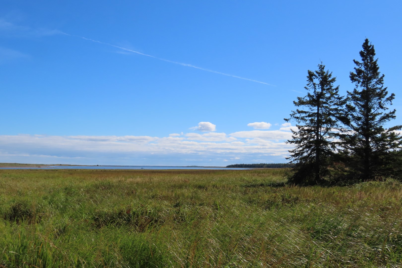 Kellys area in Kouchibougauc NP 13 of 15 (#9445)