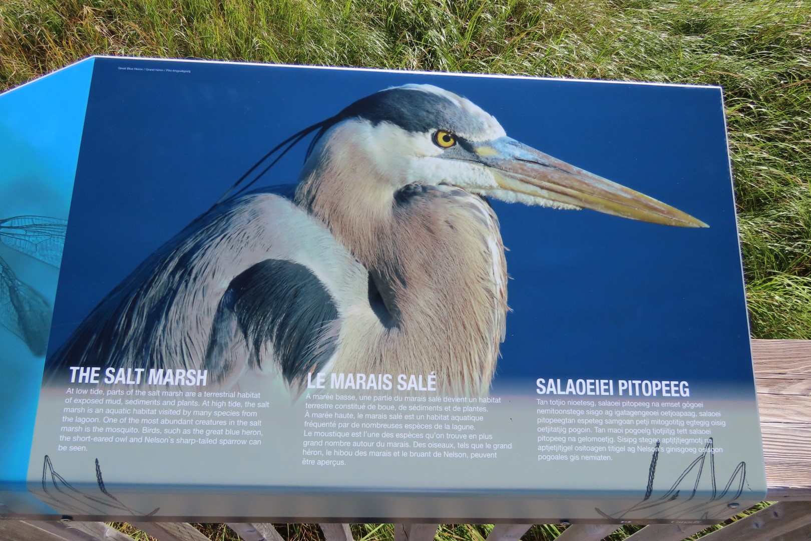 Kellys area in Kouchibougauc NP 14 of 15 (#9446)