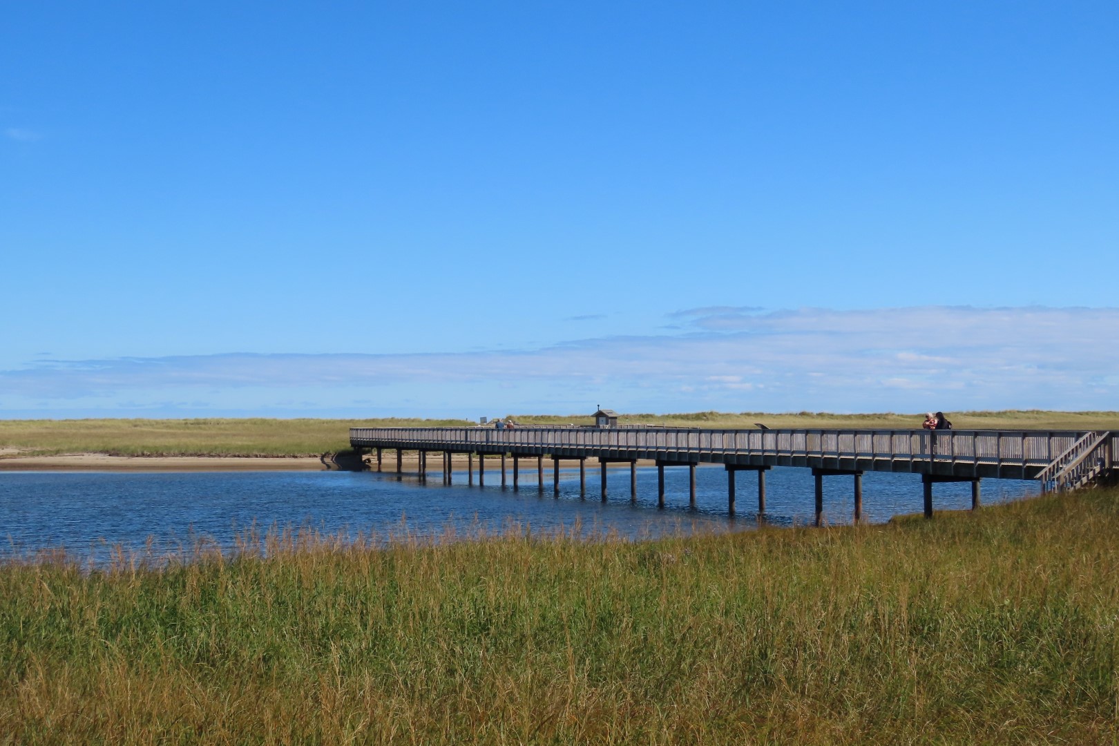 Kellys area in Kouchibougauc NP 15 of 15 (#9447)