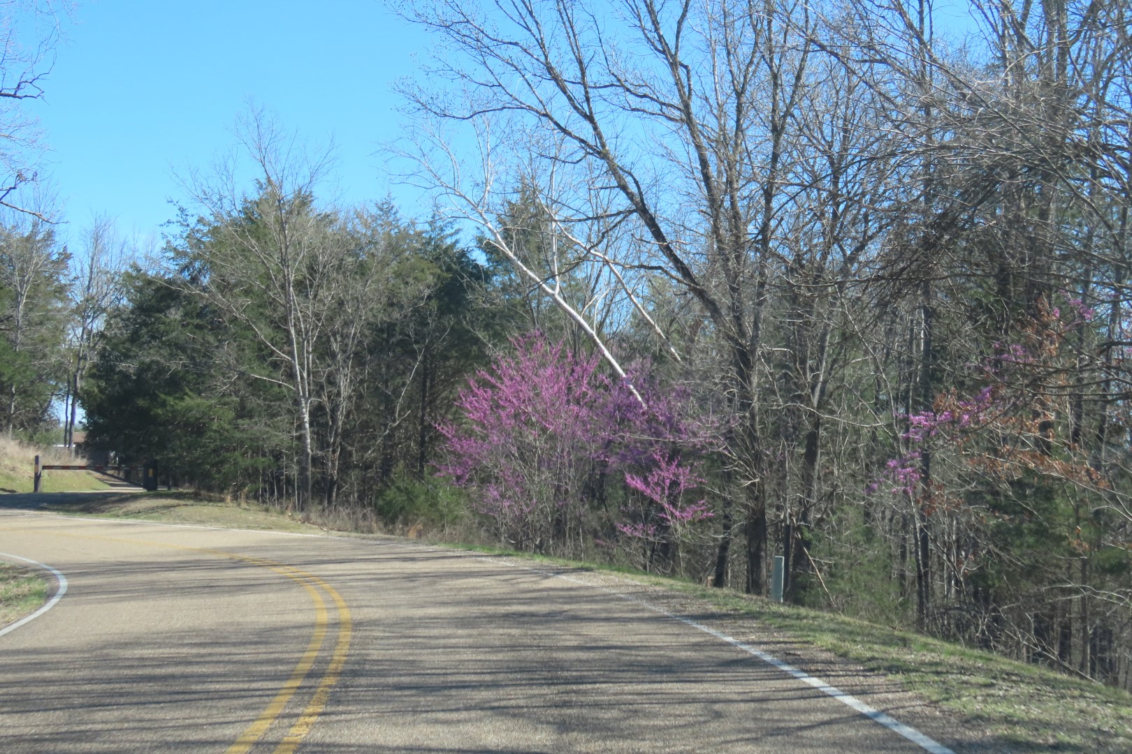 Tyler Bend Visitor Center  6 of 20 (#9504)