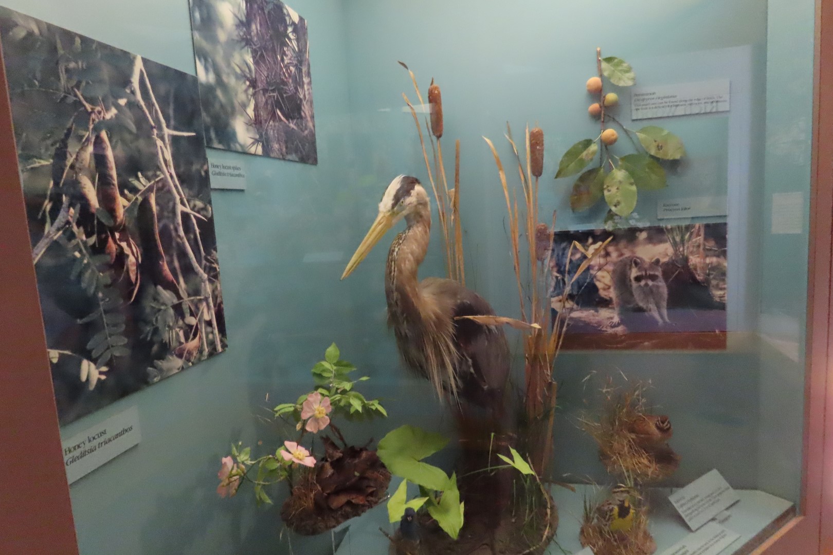 Tyler Bend Visitor Center 13 of 20 (#9511)