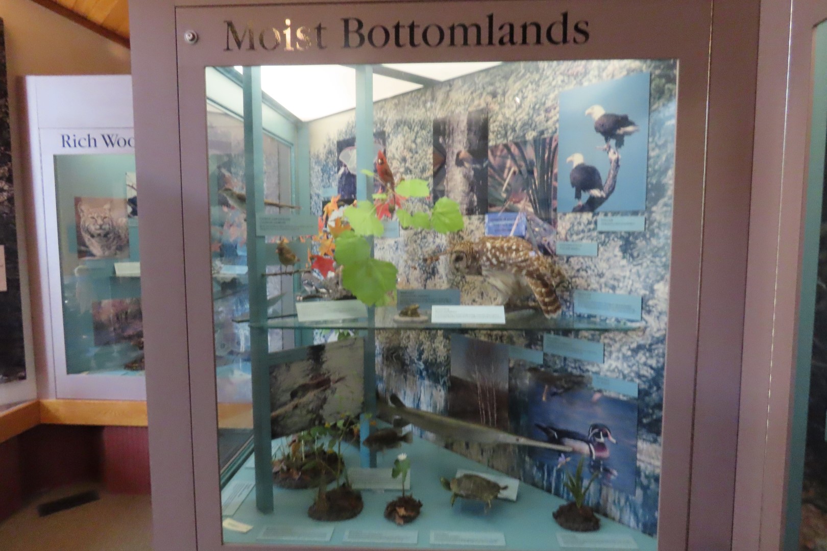 Tyler Bend Visitor Center 15 of 20 (#9513)