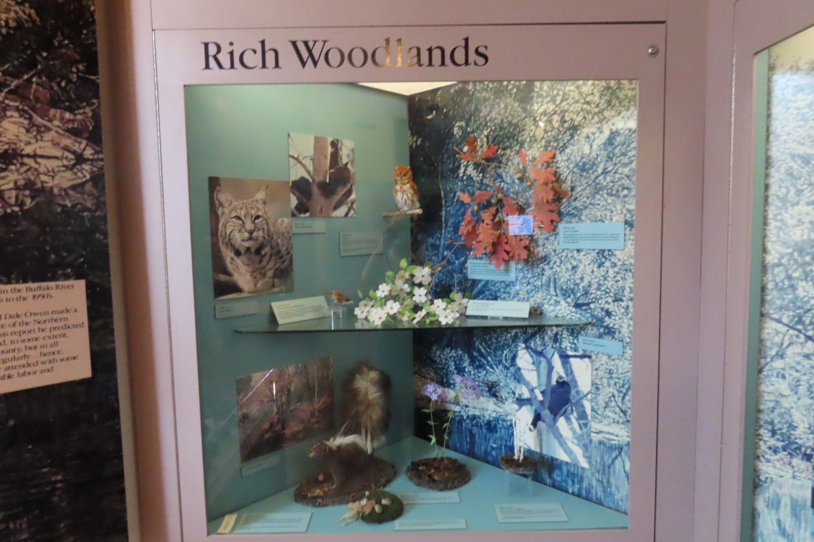 Tyler Bend Visitor Center 16 of 20 (#9514)