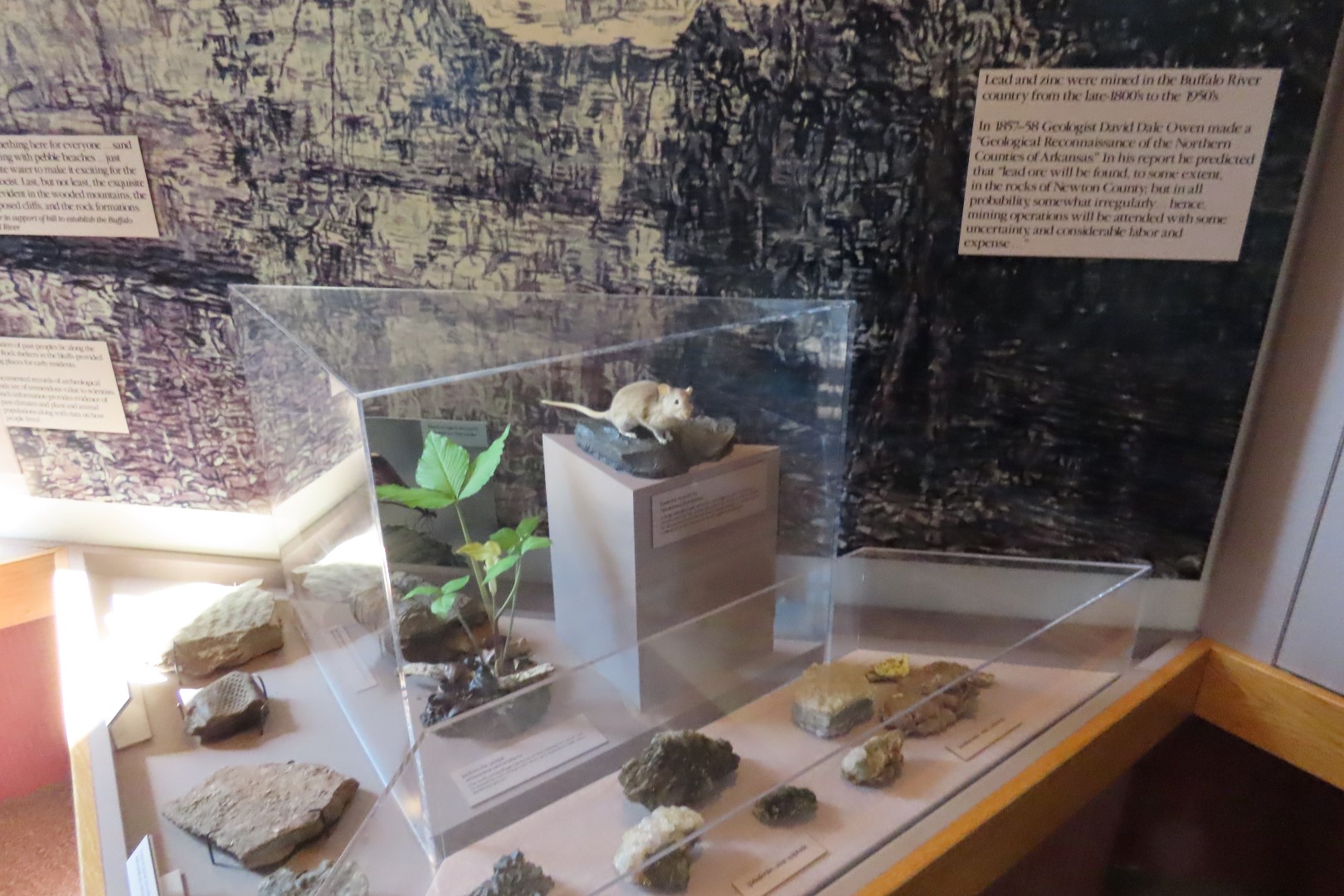 Tyler Bend Visitor Center 17 of 20 (#9515)