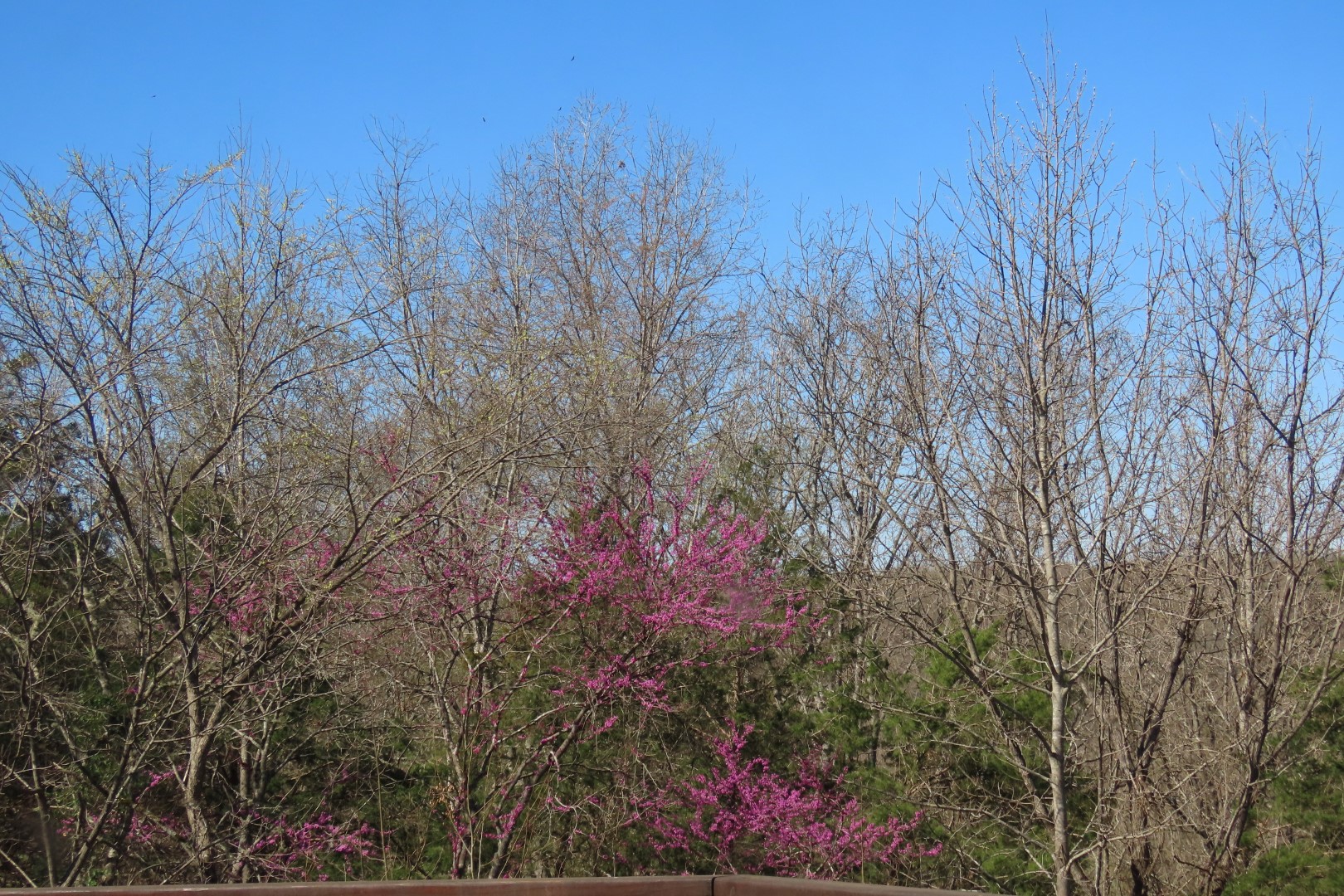 Tyler Bend Visitor Center 20 of 20 (#9518)