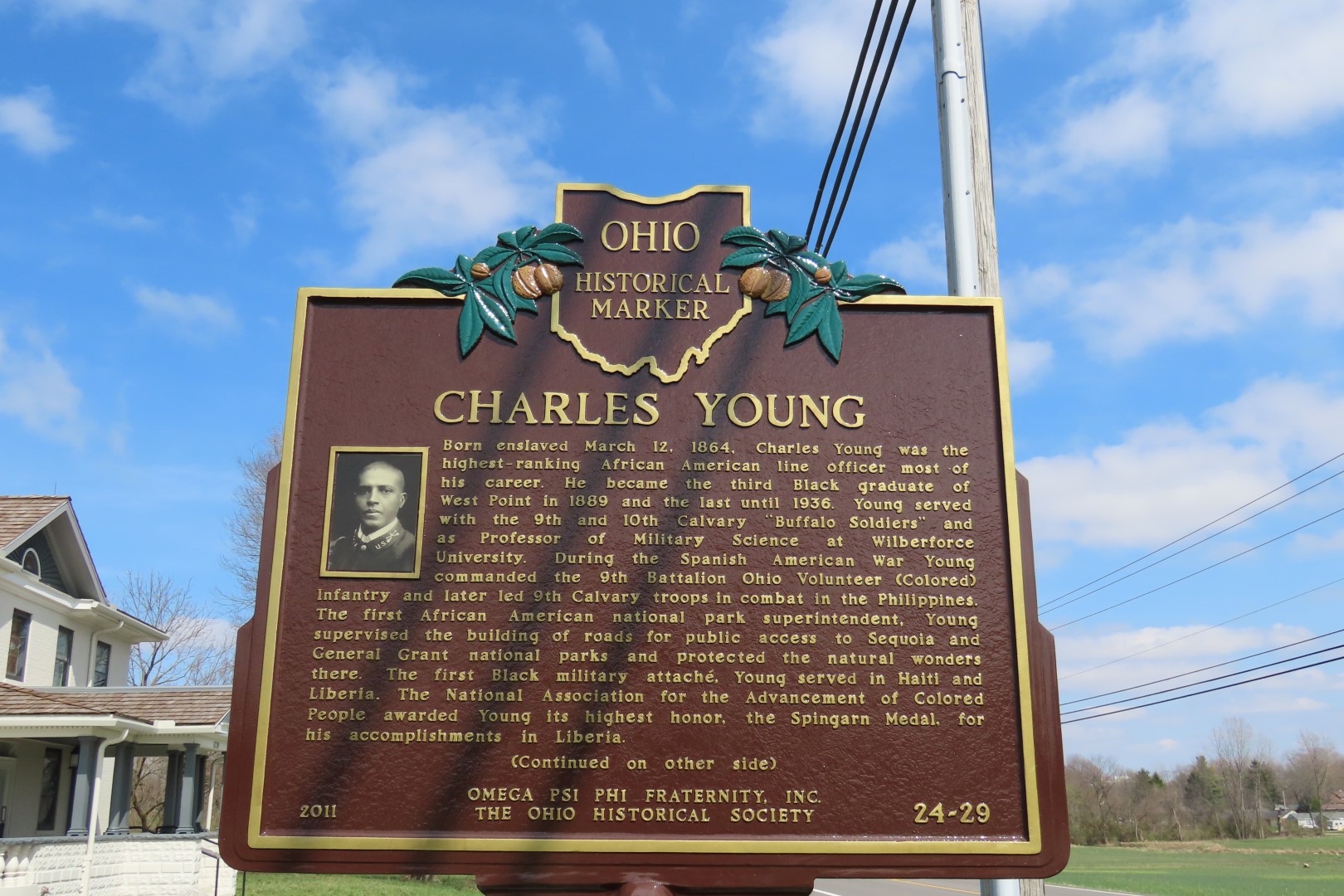 Chas Young Buffalo NP  2 of  5 (#9559)