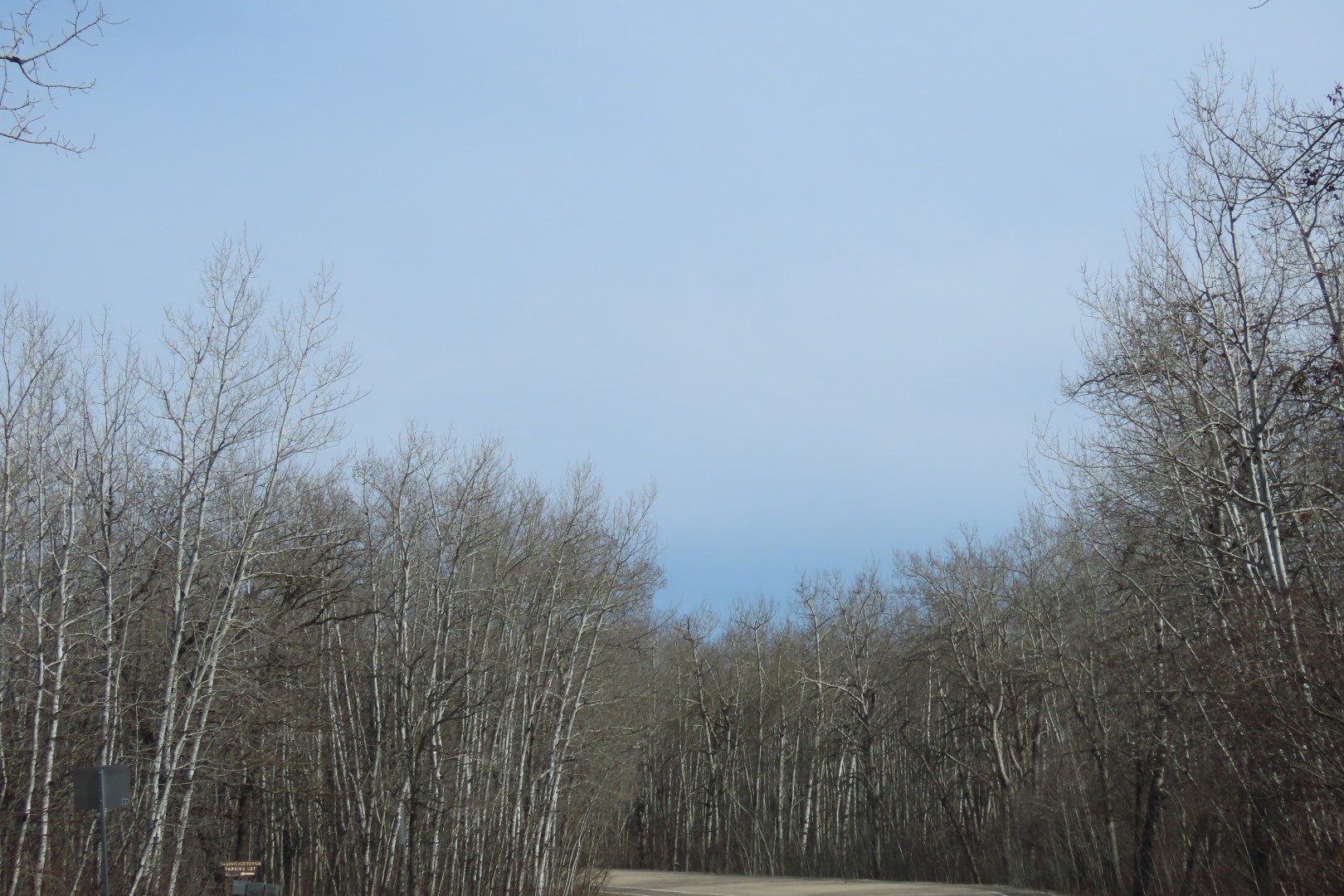 International Peace Garden  8 of  8 (#9695)