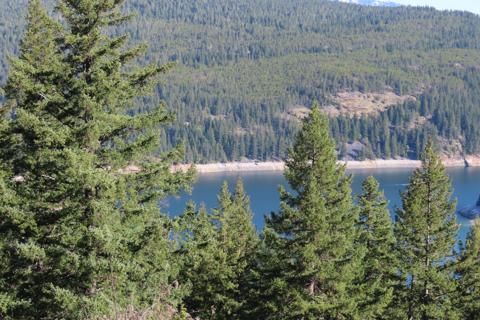 Lake Ross Overlook in the North Cascades of Washington State  8 of 11 (#9721)