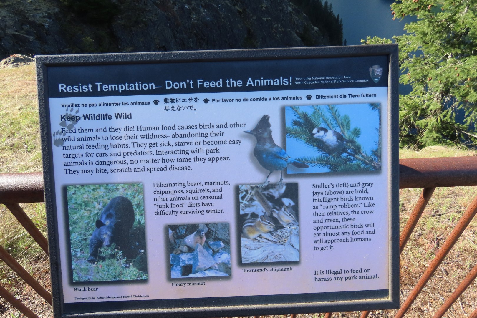 Lake Diablo Overlook in the North Cascades of Washington State 12 of 15 (#9725)