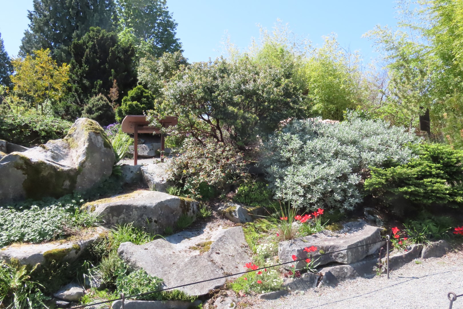 Bellevue Washington Botanical Gardens  4 of 55 (#9748)