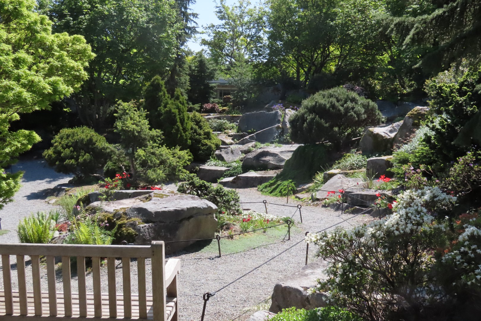 Bellevue Washington Botanical Gardens  7 of 55 (#9751)