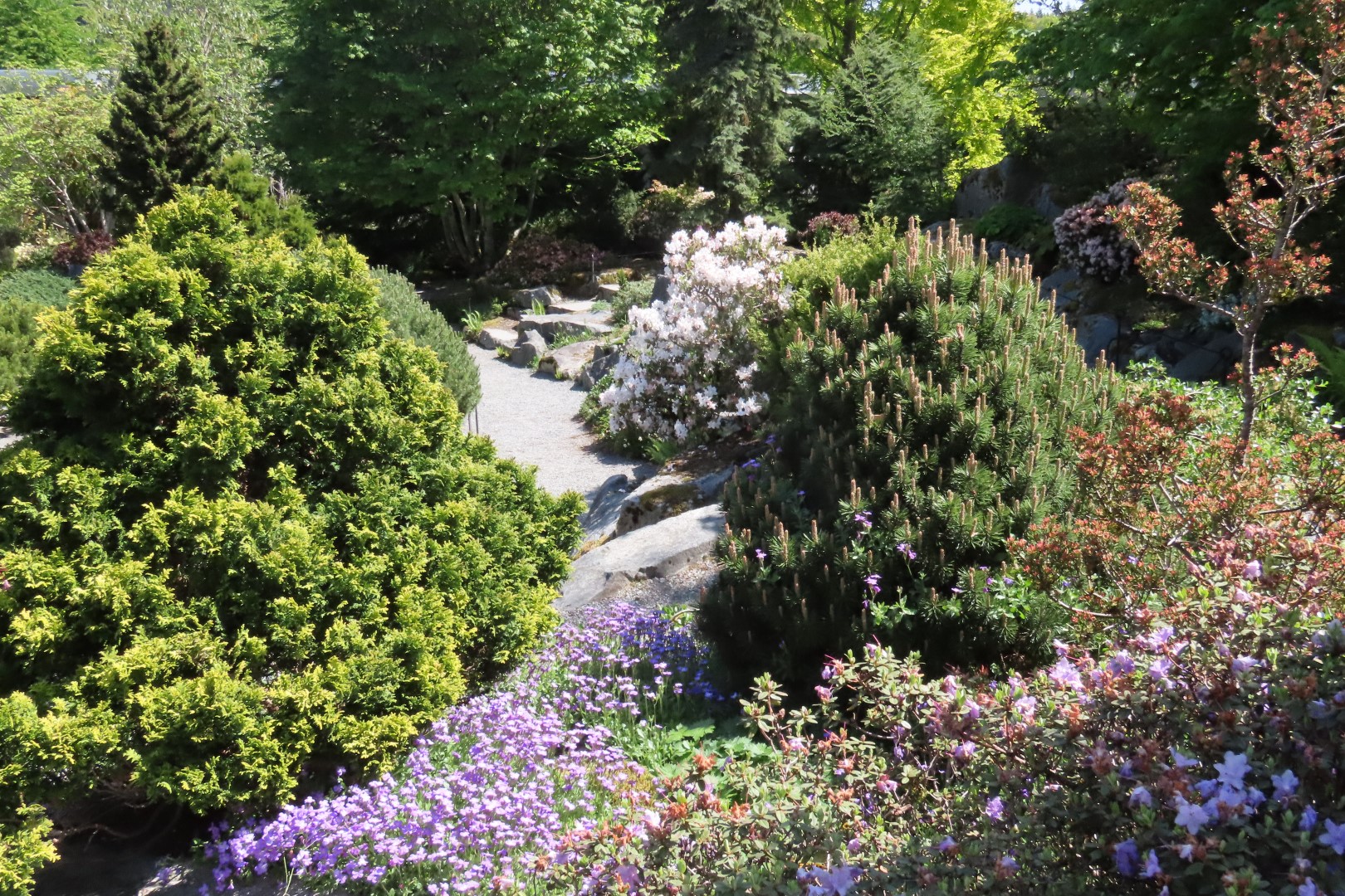 Bellevue Washington Botanical Gardens 11 of 55 (#9755)