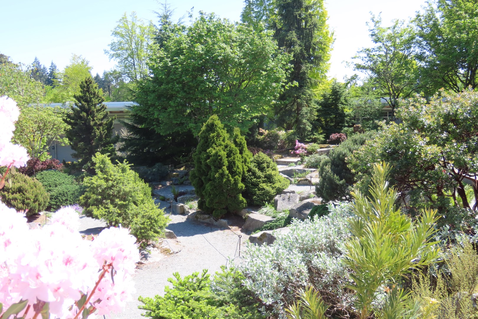 Bellevue Washington Botanical Gardens 17 of 55 (#9762)