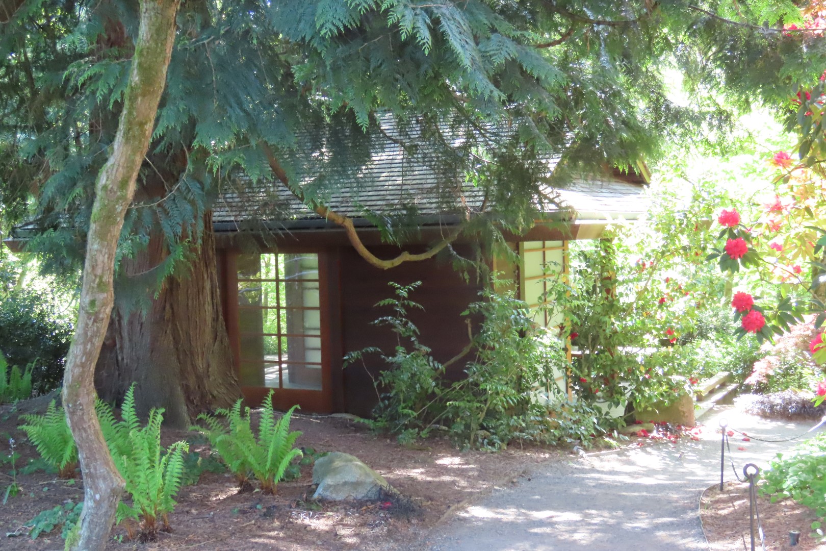 Bellevue Washington Botanical Gardens 21 of 55 (#9766)