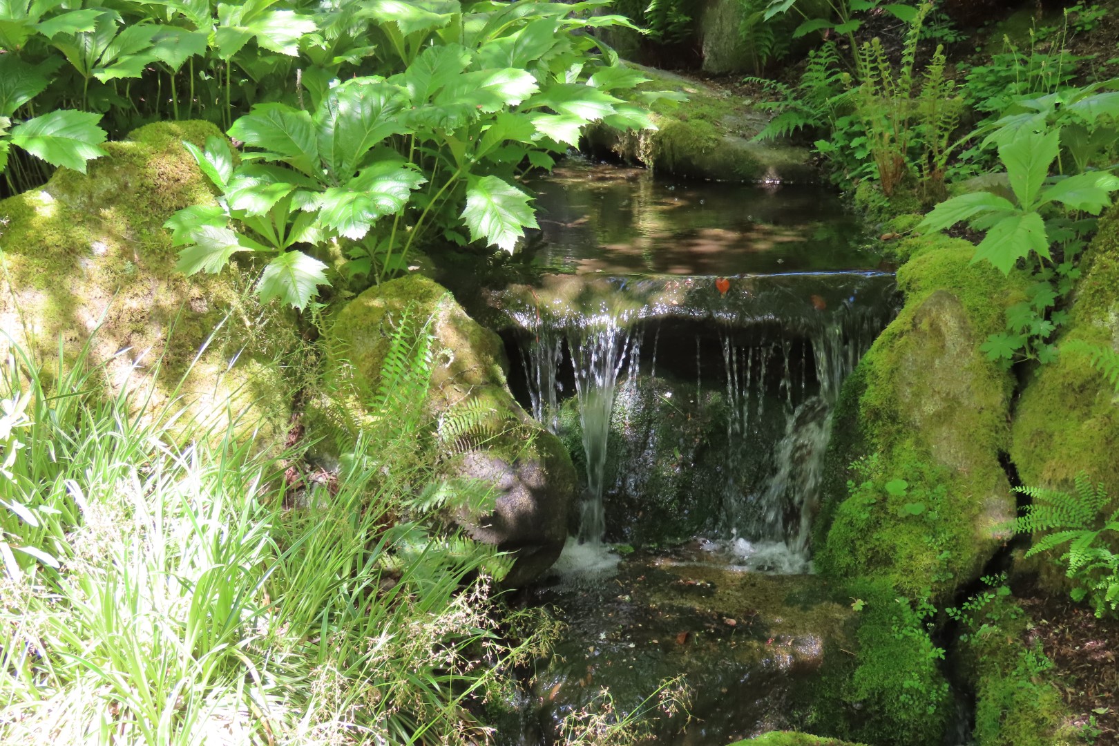 Bellevue Washington Botanical Gardens 32 of 55 (#9777)