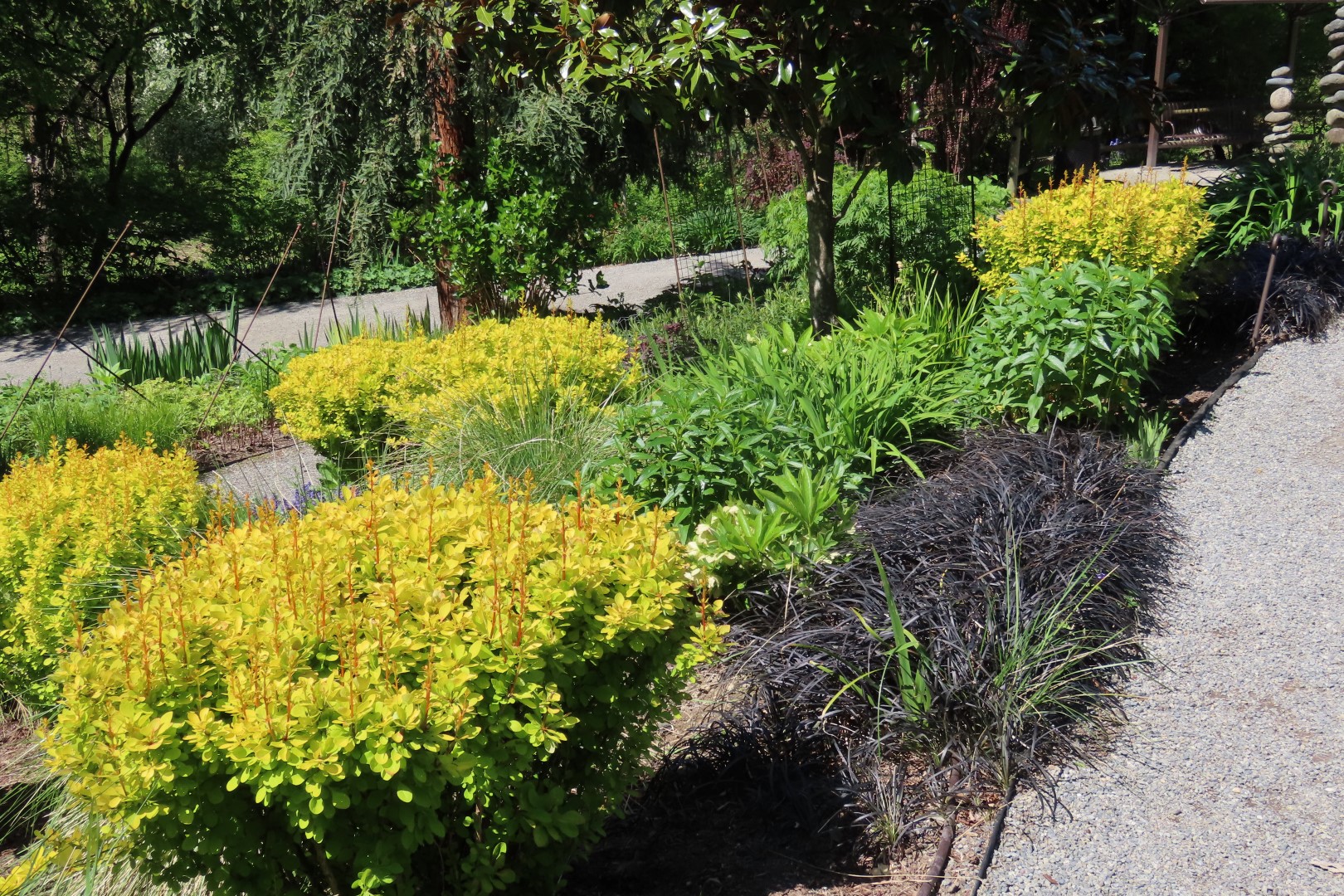 Bellevue Washington Botanical Gardens 35 of 55 (#9780)