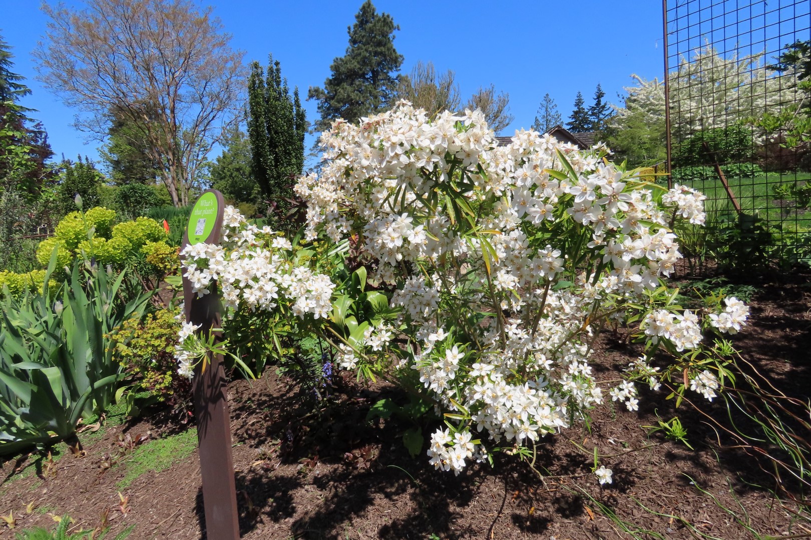 Bellevue Washington Botanical Gardens 40 of 55 (#9785)