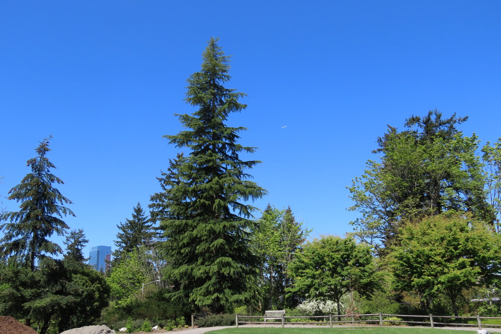 Bellevue Washington Botanical Gardens 45 of 55 (#9790)