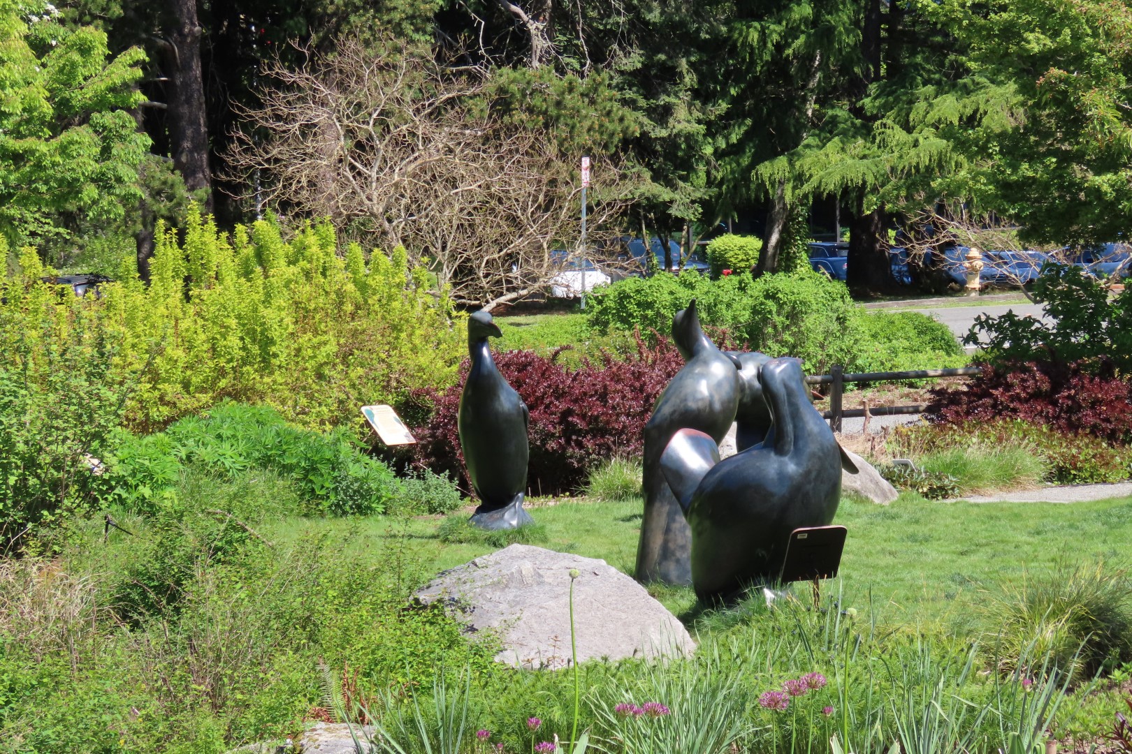 Bellevue Washington Botanical Gardens 49 of 55 (#9794)