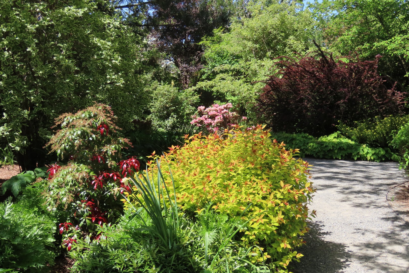 Bellevue Washington Botanical Gardens 52 of 55 (#9798)