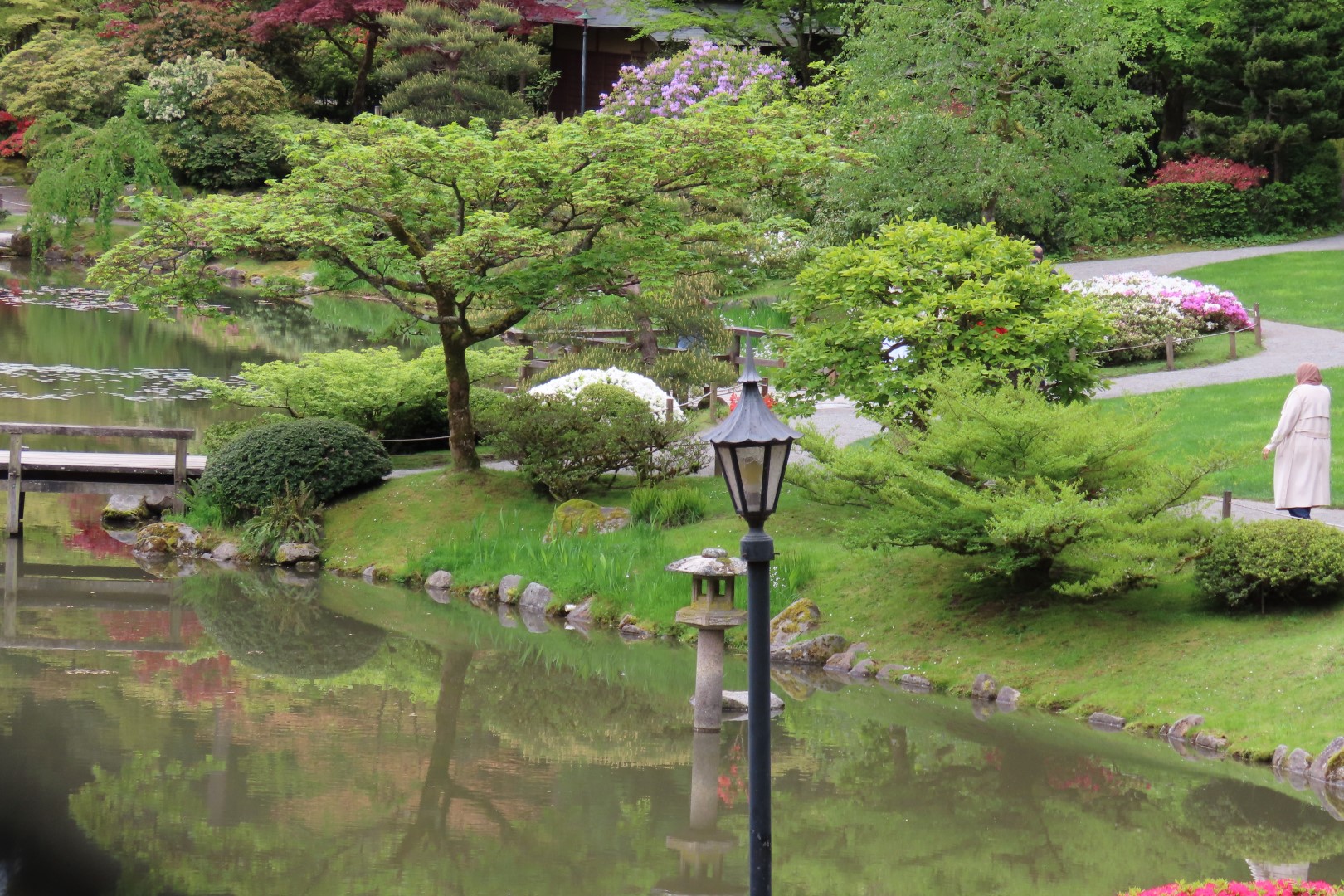 Washington University Arboretum Seattle WA 33 of 35 (#9835)